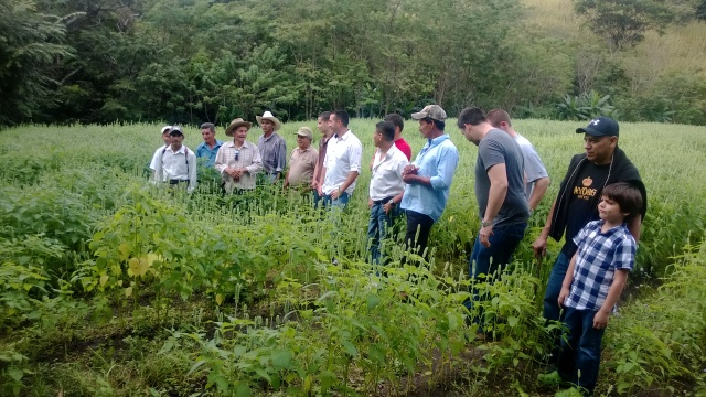 Mayorga staff, coffee and chia farmers - Nicaragua